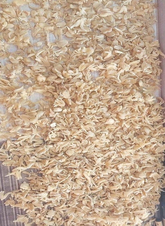vinarghya - Salampanja/Salam/Munjataka/Saalam Misri/Salamisri/Salum/Hattha Jadee/salem Panja/Angulagpa/Salep Orchid/Silamishri/Orchis Latifolia Linn/Punjab Misri/Hath Panja/Hatajari/Salab Panja - 20g - Image 1